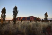 Uluru - Ayers Rock - Sonnenaufgang