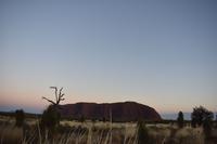 Uluru - Ayers Rock - Sonnenaufgang