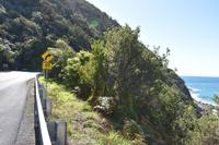 Great Ocean Road
