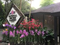 Stadtrundfahrt Singapur - Orchideengarten