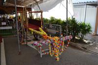 Stadtrundfahrt Singapur - Orchideengarten