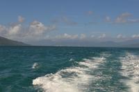 Ausflug zum Great Barrier Reef - Es geht los