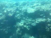 Ausflug zum Great Barrier Reef - Fahrt mit dem Halbtauchboot