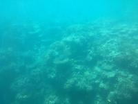 Ausflug zum Great Barrier Reef - Fahrt mit dem Halbtauchboot