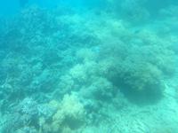 Ausflug zum Great Barrier Reef - Fahrt mit dem Halbtauchboot