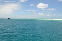 Ausflug zum Great Barrier Reef - Michaelmas Cay