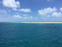 Ausflug zum Great Barrier Reef - Michaelmas Cay