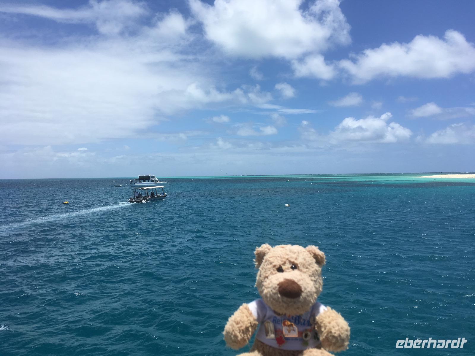 Ausflug zum Great Barrier Reef - Michaelmas Cay