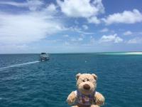 Ausflug zum Great Barrier Reef - Michaelmas Cay