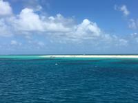 Ausflug zum Great Barrier Reef - Michaelmas Cay