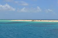 Ausflug zum Great Barrier Reef - Michaelmas Cay