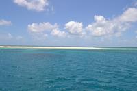 Ausflug zum Great Barrier Reef - Michaelmas Cay