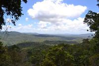 Fahrt mit der Skyrail - Über den Dächern des Regenwalds