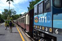 Rückfahrt nach Cairns mit der Kuranda Scenic Railway