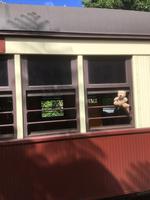 Rückfahrt nach Cairns mit der Kuranda Scenic Railway