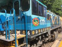 Rückfahrt nach Cairns mit der Kuranda Scenic Railway