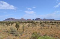 Kata Tjuta - Erster Fotostopp