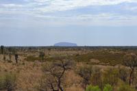 Kata Tjuta - Erster Fotostopp - Blick zum Uluru
