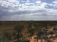 Kata Tjuta - Erster Fotostopp - Blick zum Uluru