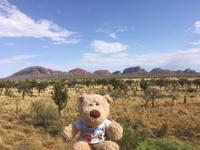 Kata Tjuta - Erster Fotostopp - Blick zum Uluru