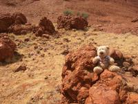 Kata Tjuta - Wanderung in die Walpa Gorge