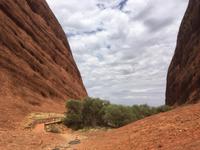 Kata Tjuta - Wanderung in die Walpa Gorge