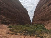 Kata Tjuta - Wanderung in die Walpa Gorge