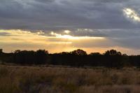 Sonnenuntergang am Uluru