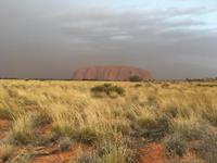 Sonnenuntergang am Uluru