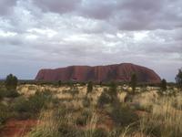 Sonnenaufgang am Uluru