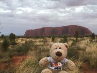 Sonnenaufgang am Uluru