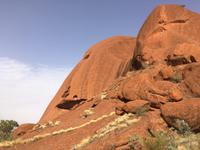 Uluru - Spaziergang zum Wasserloch