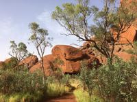 Uluru - Spaziergang zum Wasserloch - Kopf der Regenbogenschlange