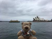 Stadtrundfahrt durch Sydney - Erster Blick auf das Opernhaus