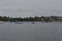 Stadtrundfahrt durch Sydney