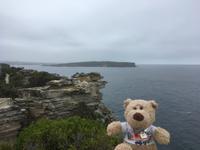 Stadtrundfahrt durch Sydney - Hafeneinfahrt