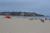 Stadtrundfahrt durch Sydney - Erster Blick auf das Opernhaus
