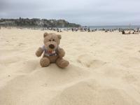 Stadtrundfahrt durch Sydney - Erster Blick auf das Opernhaus