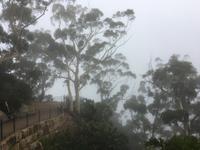 Ausflug in die Blue Mountains