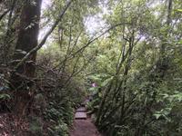 Ausflug in die Blue Mountains