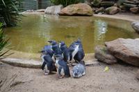 Featherdale Wildlife Park