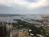 Blick vom Sydney Tower