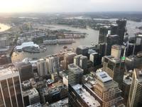 Blick vom Sydney Tower - Darling Harbour