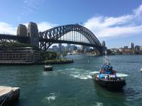 Einschiffung auf der Sun Princess - Blick auf die Harbour Bridge