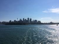 Die Kreuzfahrt geht los - Ausfahrt aus dem Sydney Harbour (Port Jackson)