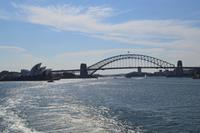 Die Kreuzfahrt geht los - Ausfahrt aus dem Sydney Harbour (Port Jackson)