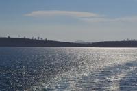 Die Kreuzfahrt geht los - Ausfahrt aus dem Sydney Harbour (Port Jackson)
