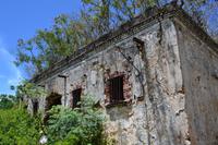 Isle of Pines - Ruinen der Strafkolonie