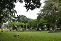 Spaziergang durch Suva - Botanischer Garten