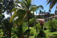 Spaziergang durch Savusavu